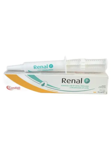 Renal P Candioli pasta 15 ml astuccio + siringa  