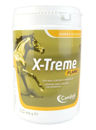X-treme Flame Candioli sospensione orale polvere 450 g  