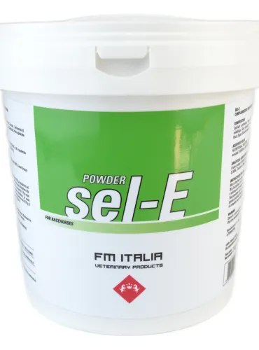 Sel-E Powder FM Italia sospensione orale 2000 g  