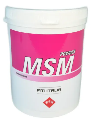 MSM Powder 600 gr  