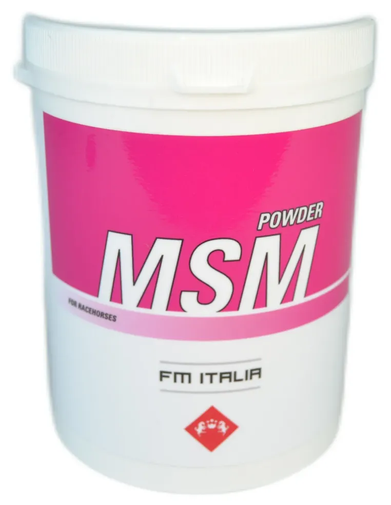 MSM Powder 600 gr  