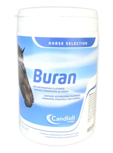 Buran 700 g Candioli