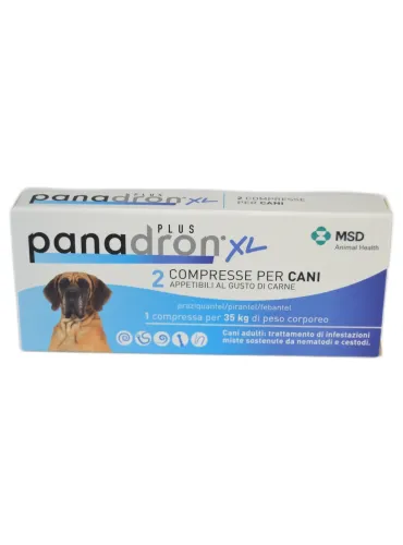 Panadron Plus XL 2 compresse MSD  
