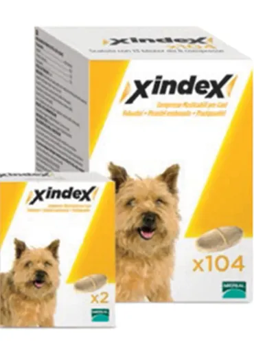 Xindex 2 compresse  