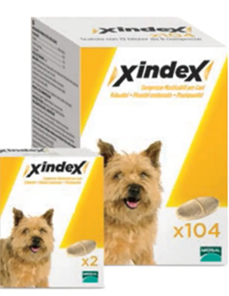 Xindex 2 compresse  