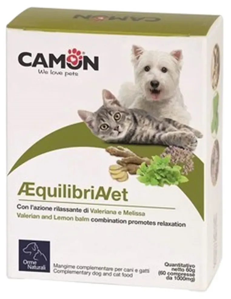 Equilibria Camon 60 compresse  