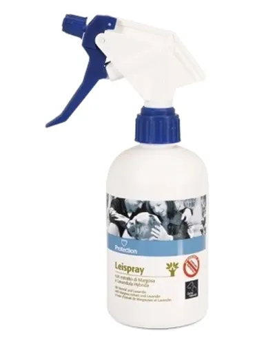 Leispray Camon flacone 500 ml  