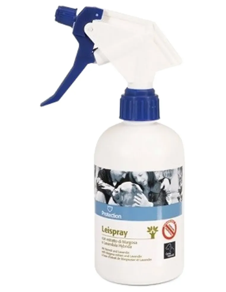 Leispray Camon flacone 500 ml  