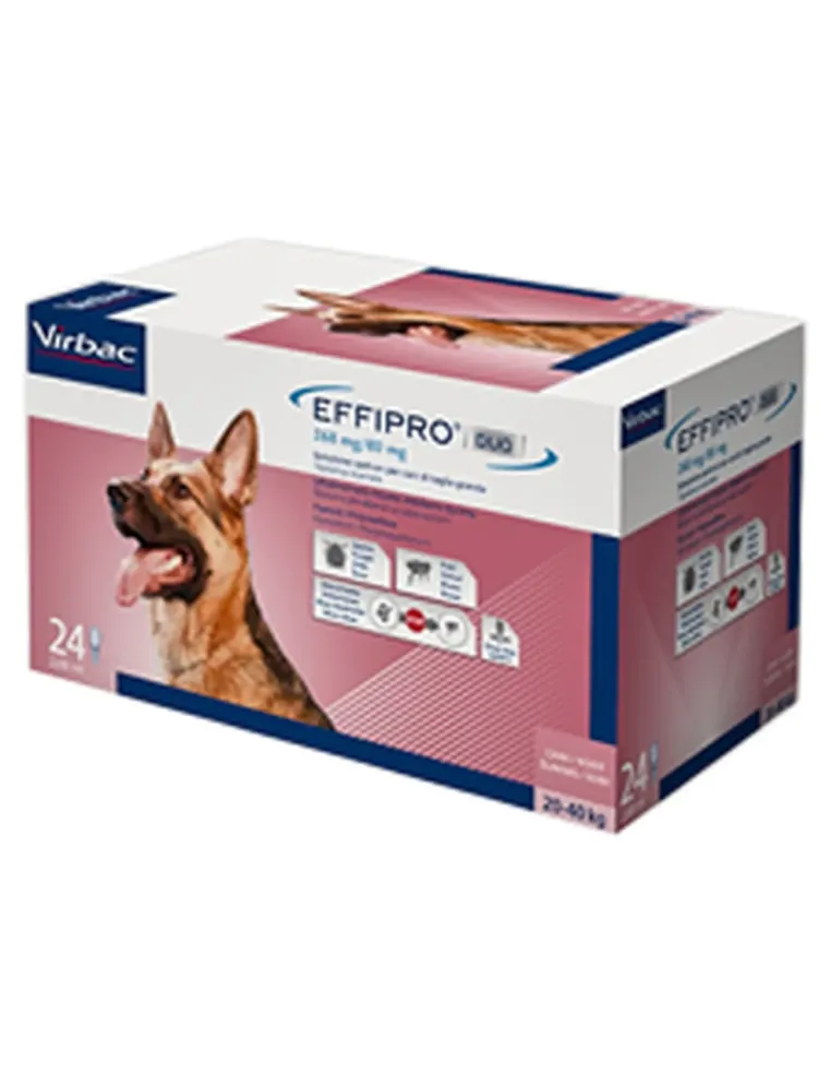 Effipro Duo 20 - 40 Kg per cani 24 pipette 268 mg/80 mg  