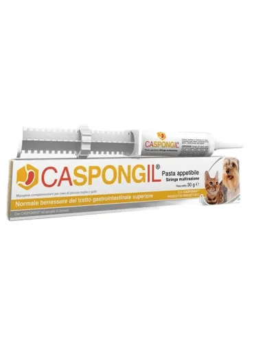 Caspongil pasta 30 g Shedir Pharma