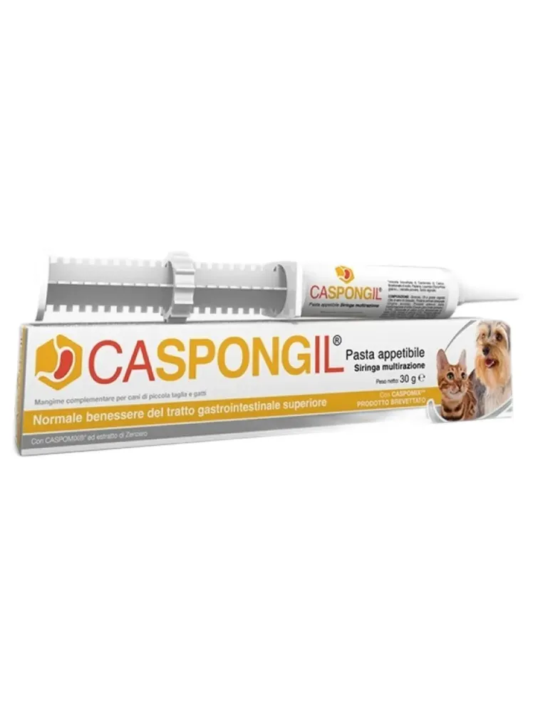 Caspongil pasta 30 g Shedir Pharma  