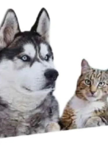 Lenuramil gocce oculari 20 fiale  