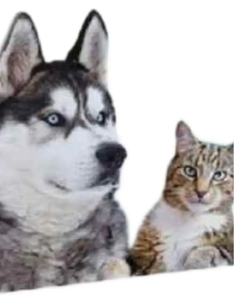 Lenuramil gocce oculari 20 fiale  