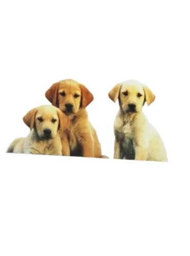 Synoquin growth 60 compresse  