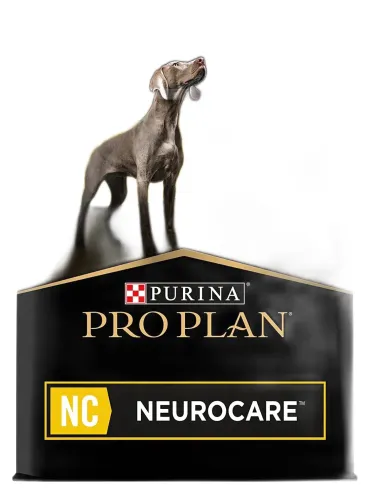 Purina NC Neurocare cane 12 kg