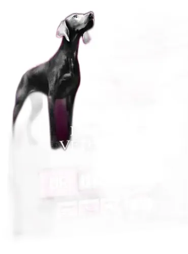 Purina ProPlan cane UR urinary 3 kg  