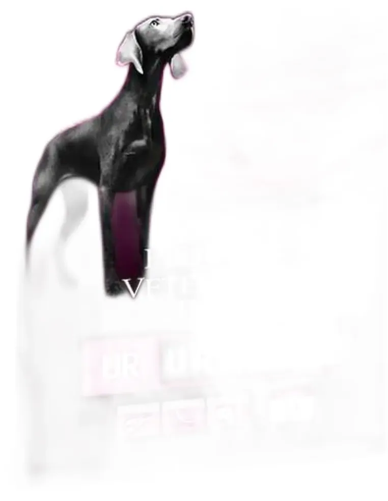 Purina ProPlan cane UR urinary 3 kg  