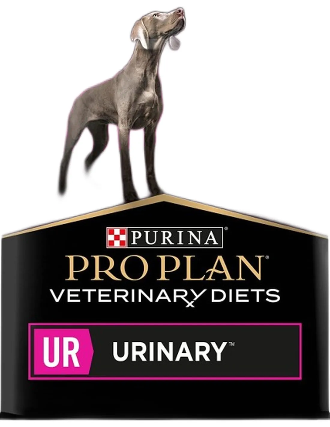 Purina Pro Plan cane UR urinary 12 kg  