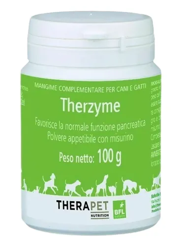 Therzyme 100 g polvere Ex Pro-Enzorb Bioforlife