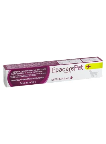 Epacare Pet Pasta siringa da 30 g  