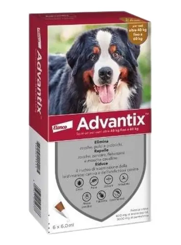 Advantix 40 - 60 kg 6 pipette  