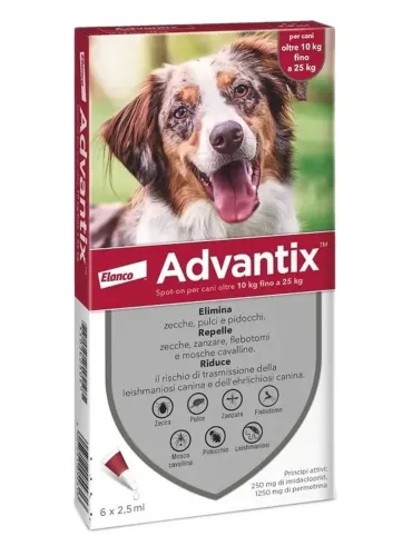Advantix cani 10 - 25 kg 6 pipette