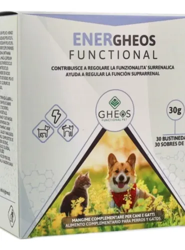 Energheos Functional Gheos 30 bustine