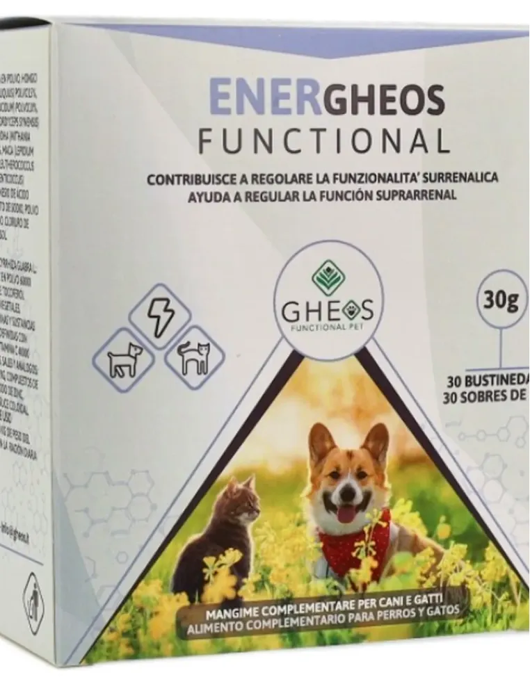 Energheos Functional Gheos 30 bustine  