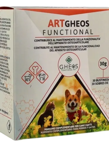 Artgheos Functional Gheos 30 bustine  