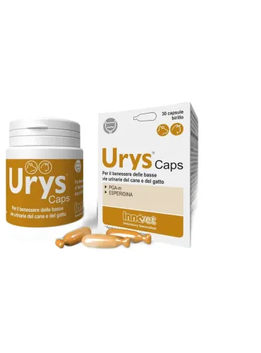 Urys Caps 30 capsule
