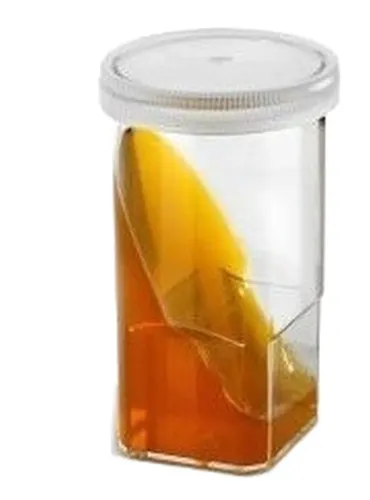 Dermatophytest 6 tests Virbac  