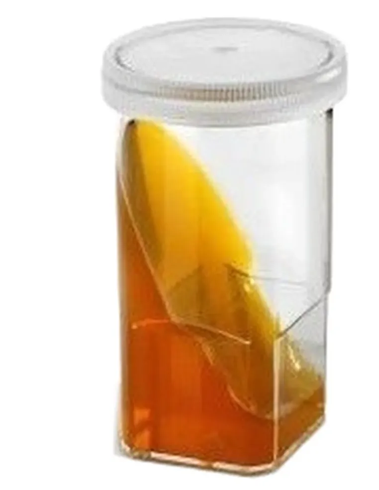 Dermatophytest 6 tests Virbac  