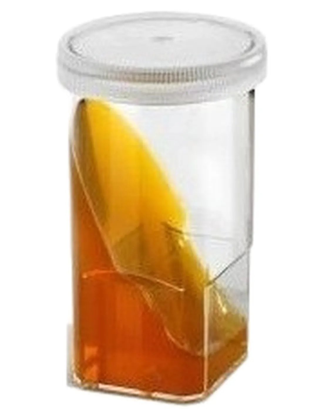 Dermatophytest 6 tests Virbac  