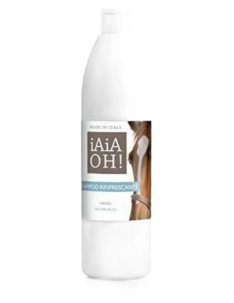 Shampoo rinfrescante 500 ml  