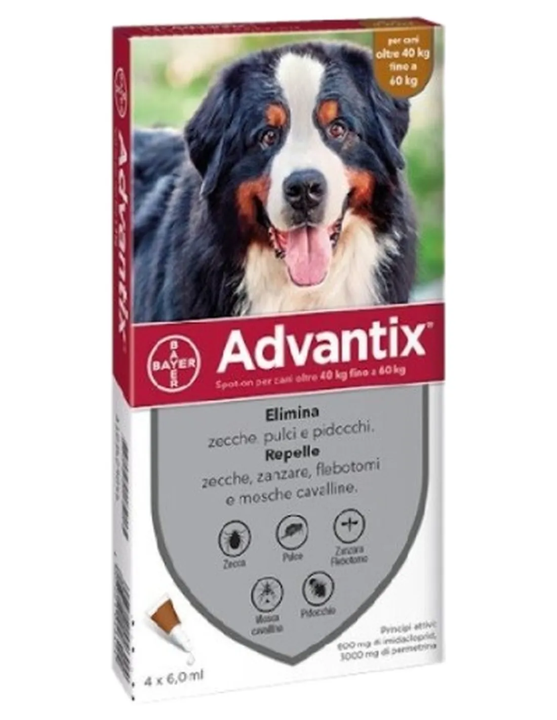 Advantix 40 - 60 kg 4 pipette  