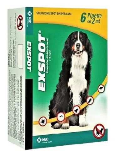 Exspot 6 pipette cani taglia grande  