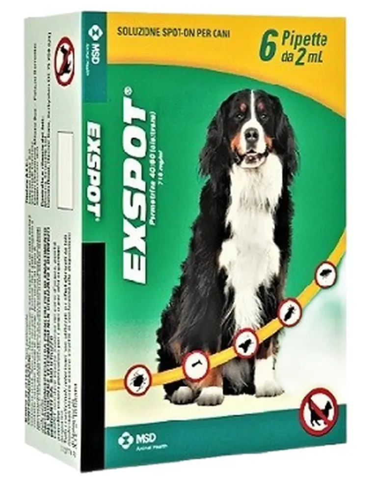 Exspot 6 pipette cani taglia grande  