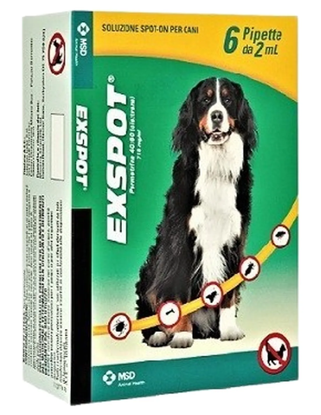 Exspot 6 pipette cani taglia grande  
