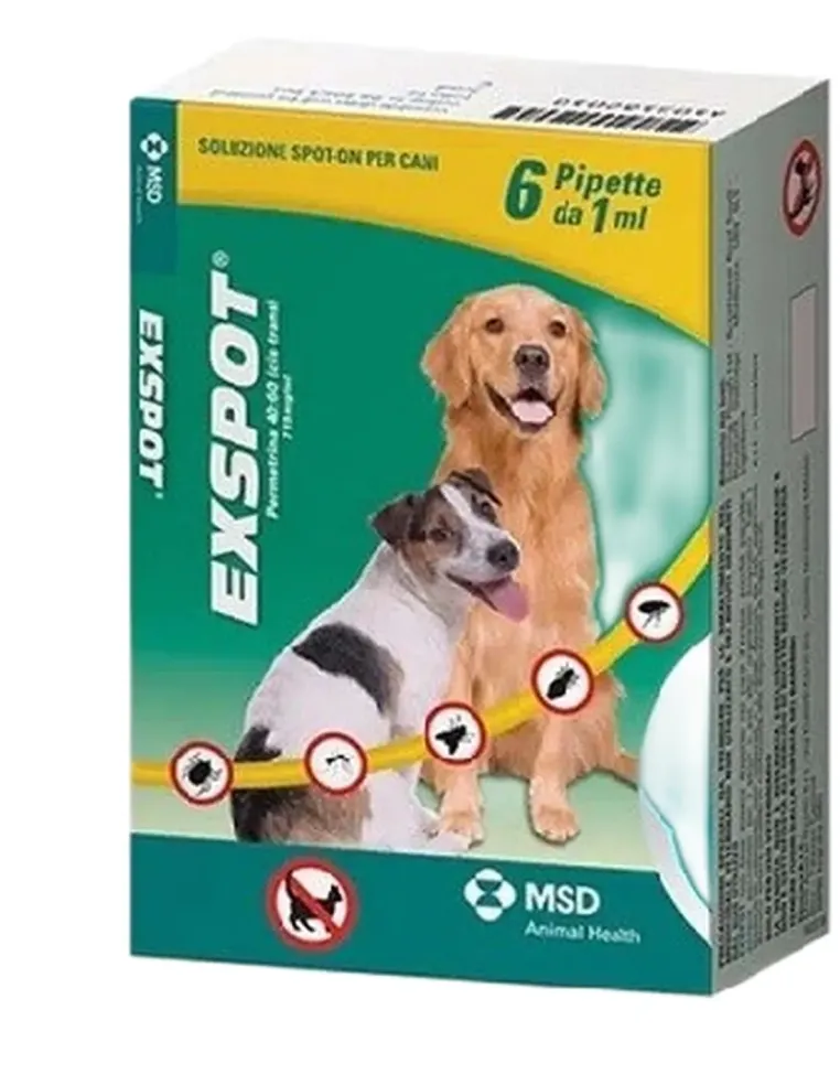 Exspot 1 ml 6 pipette  