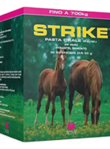 Strike Pasta 20 siringhe 35 g  