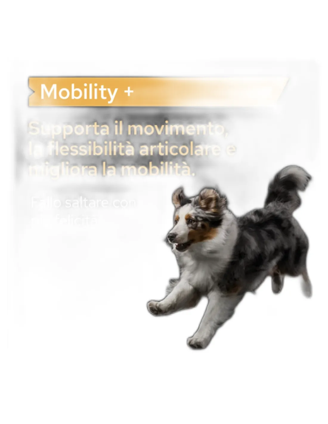 Purina Cane Mobility +  