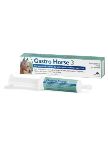 Gastro Horse 3 pasta 100 g NBF  