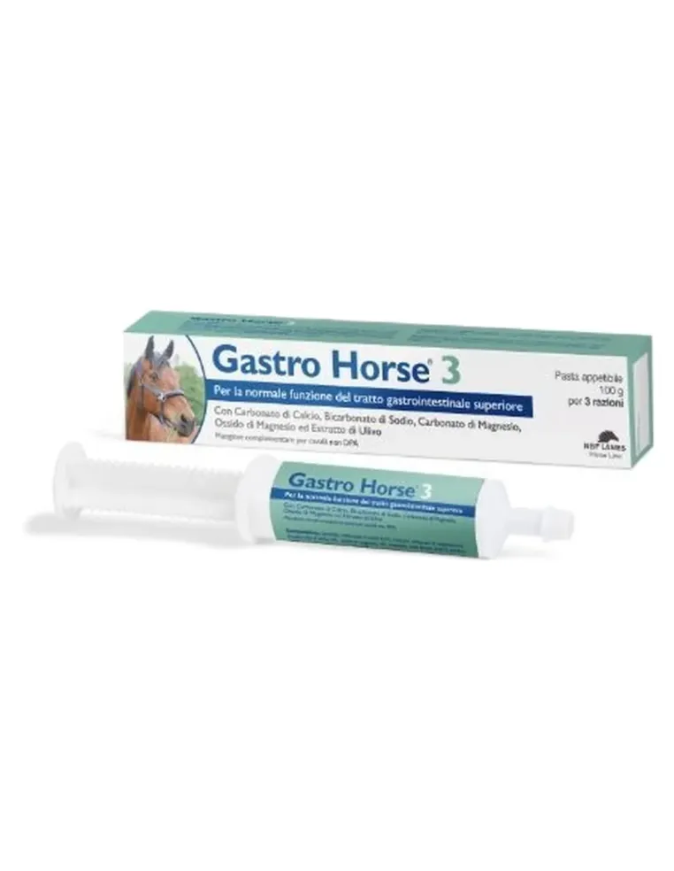 Gastro Horse 3 pasta 100 g NBF  