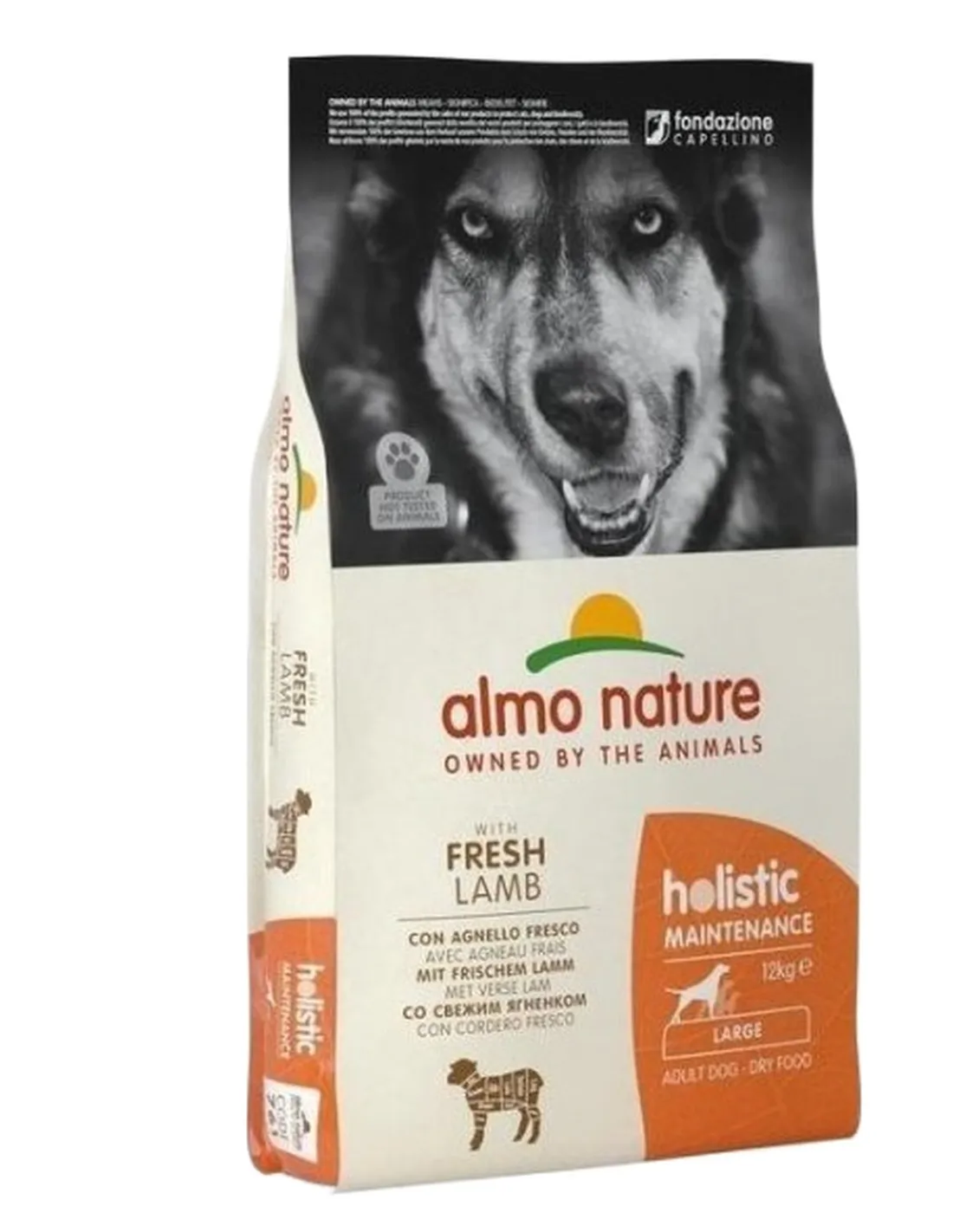 Almo nature holistic cane adult large con agnello 12 kg  
