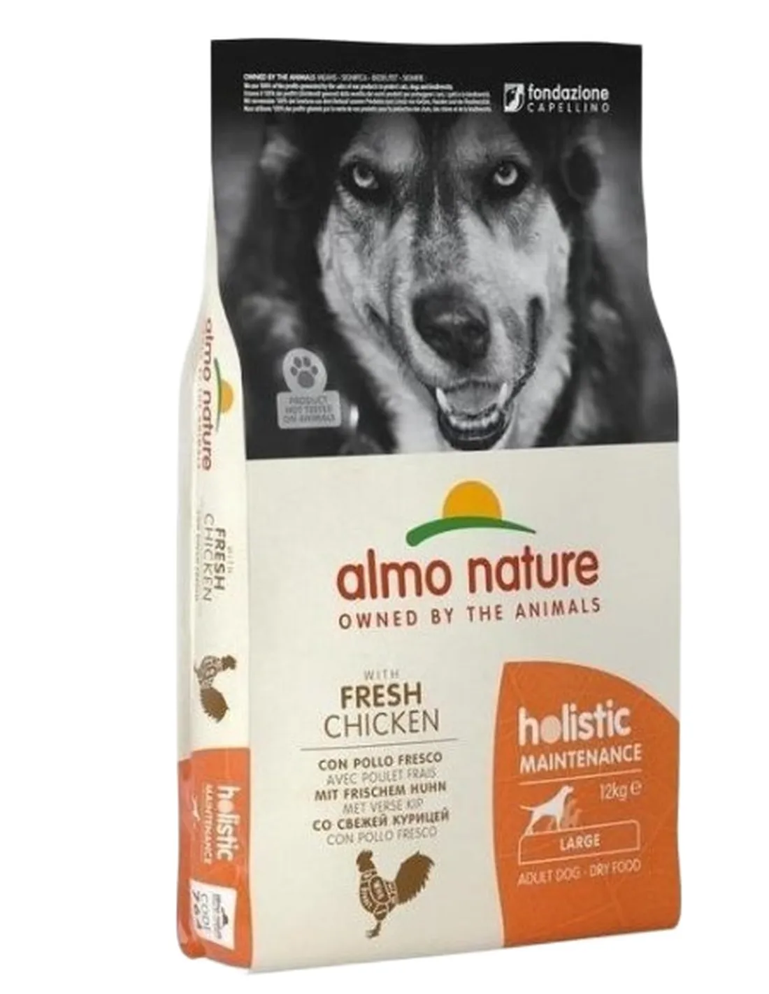 Almo nature holistic cane adult large con pollo 12 kg  