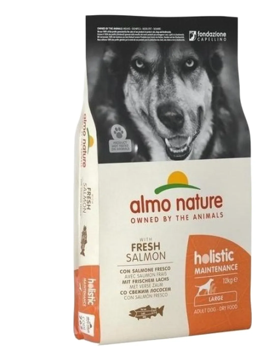 Almo nature holistic cane adult large con salmone e riso 12 kg  