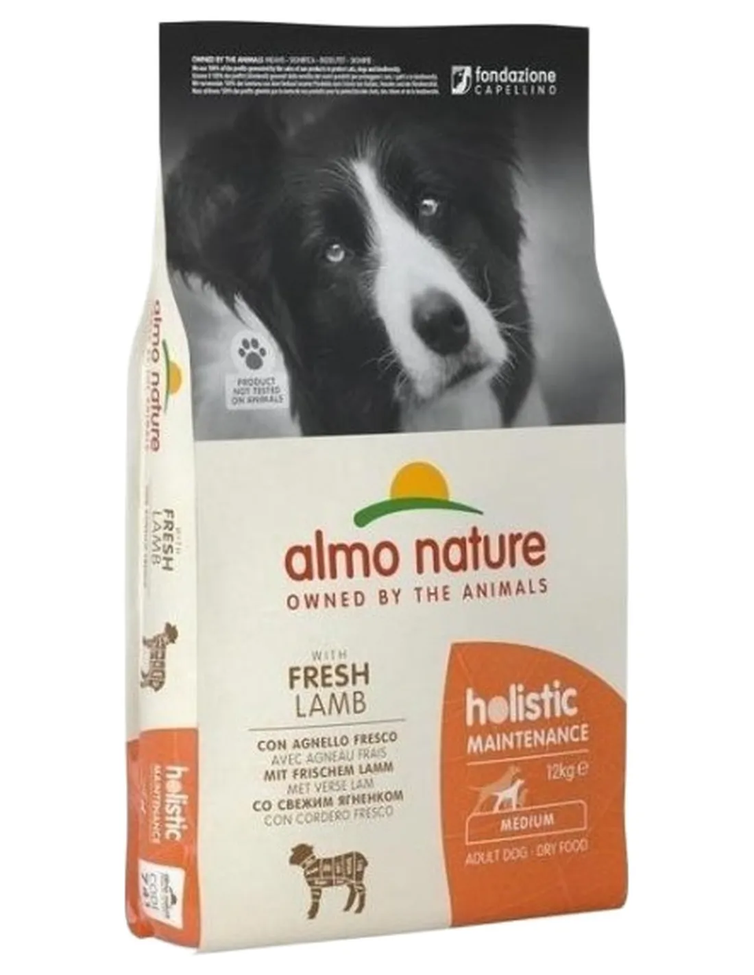 Almo nature holistic cane adult medium con agnello 12 kg  