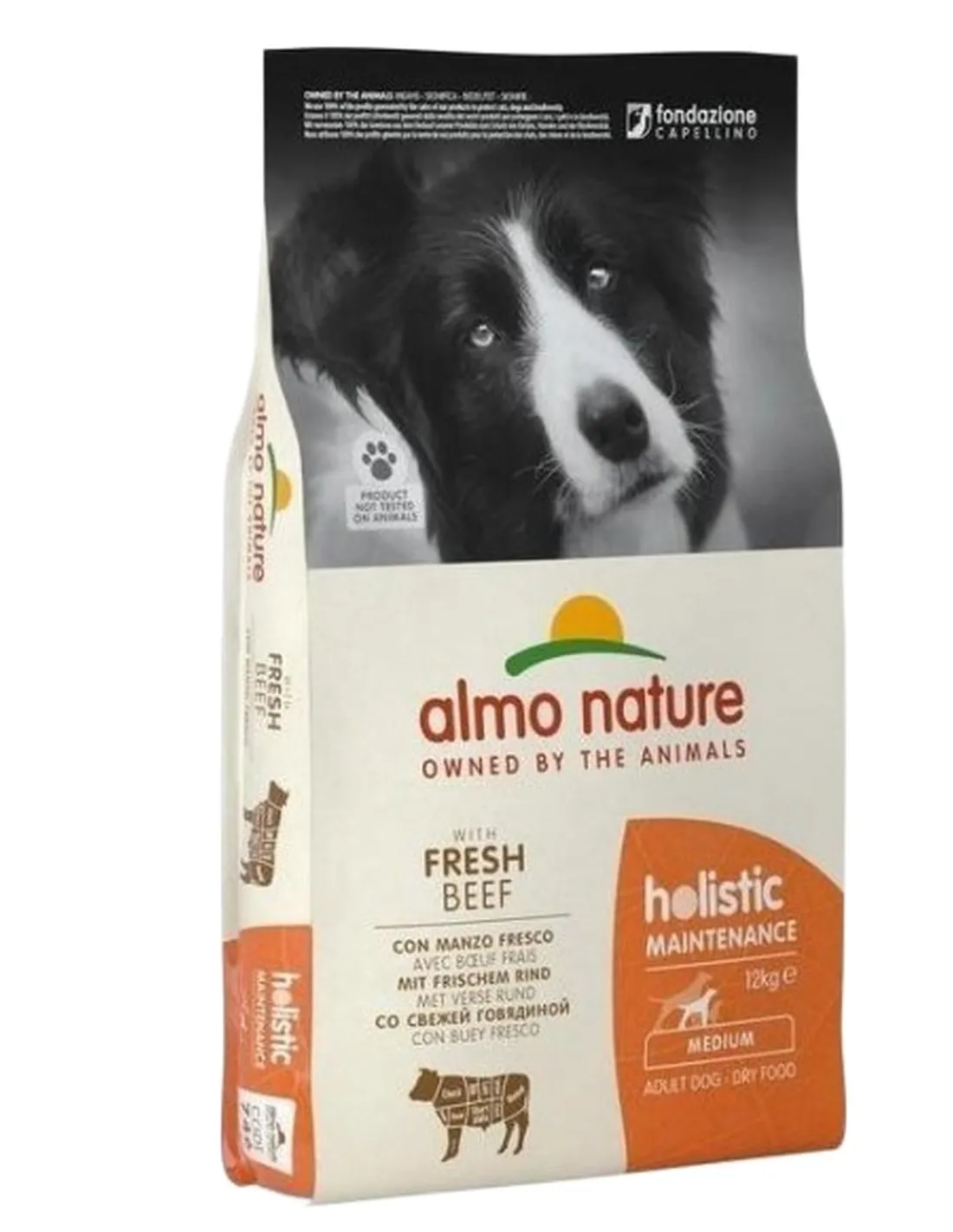 Almo nature holistic cane adult medium con manzo 12 kg  