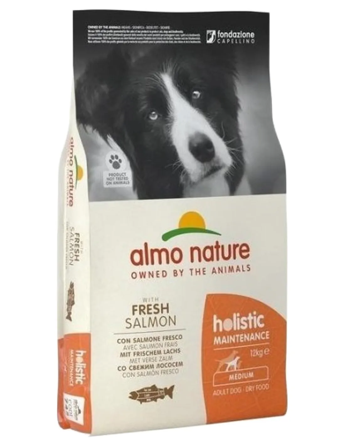 Almo nature holistic cane adult medium con salmone 12 kg  