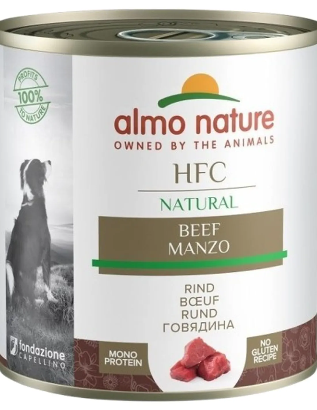 Almo nature hfc classic cane manzo 290 gr  